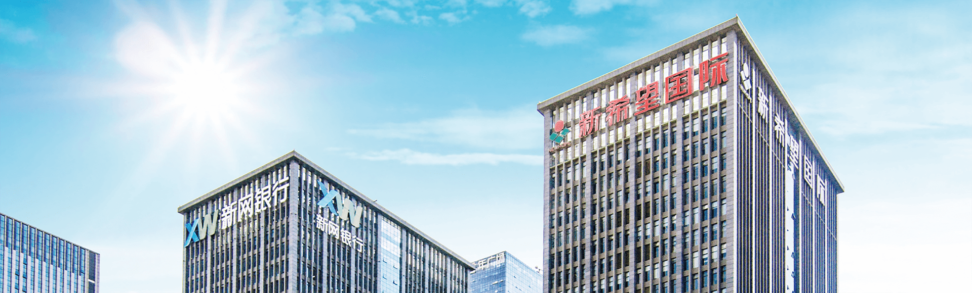 關(guān)于新希望